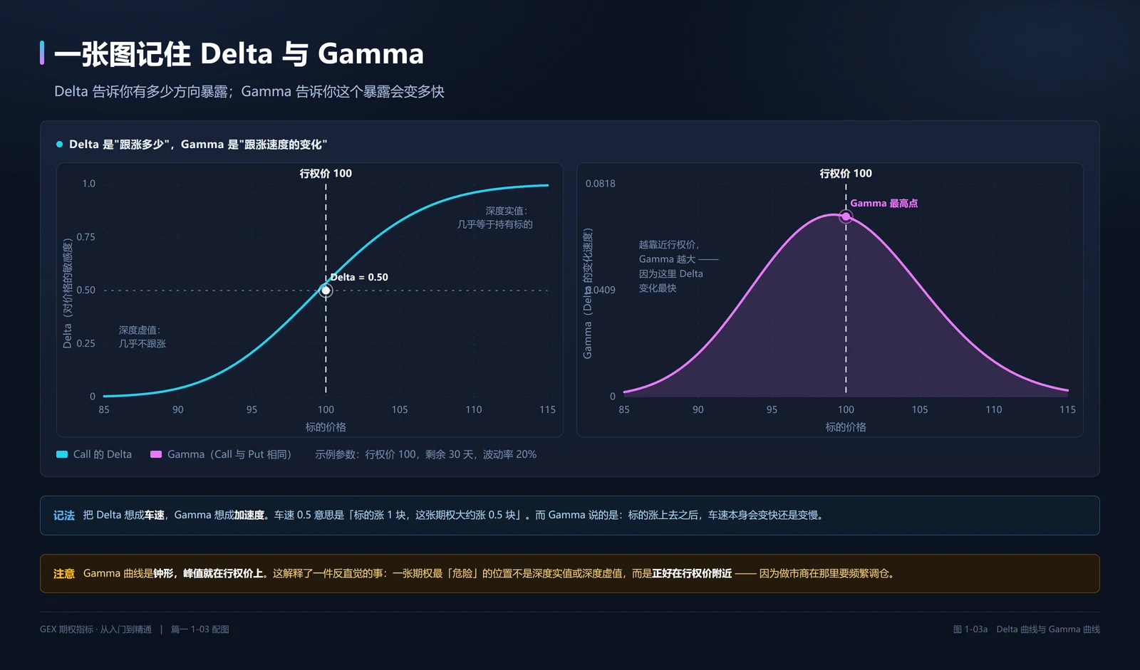 Delta 曲线与 Gamma 曲线