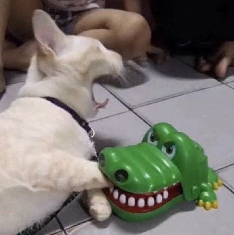 laoqi的头像-NEO交易社区