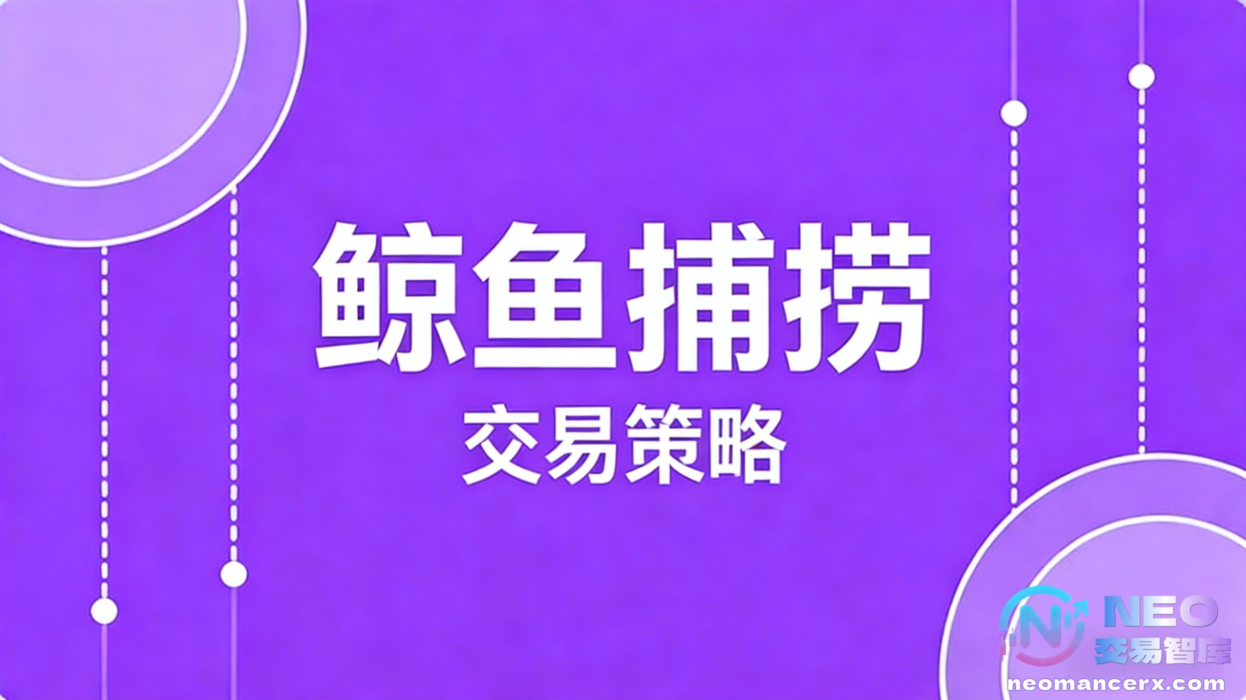 鲸鱼捕捞交易策略详解-NEO交易社区