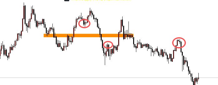 20260328234213866-image